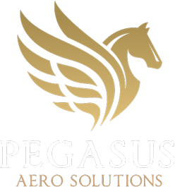 Pegasus Aero Solutions Logo and Company Name